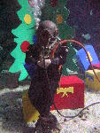 IMG_4145 IMG_4145