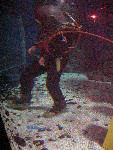IMG_4148 IMG_4148
