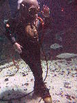IMG_4152 IMG_4152