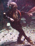IMG_4154 IMG_4154
