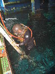 IMG_4197 IMG_4197