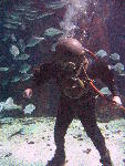 IMG_4198 IMG_4198