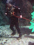 IMG_4203 IMG_4203