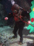 IMG_4205 IMG_4205