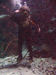 IMG_4206 IMG_4206