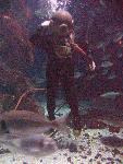 IMG_4207 IMG_4207