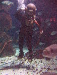 IMG_4208 IMG_4208