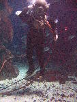IMG_4209 IMG_4209