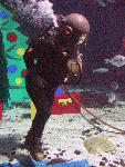 IMG_4215 IMG_4215