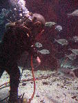 IMG_4216 IMG_4216