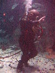IMG_4217 IMG_4217