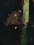 IMG_4218 IMG_4218