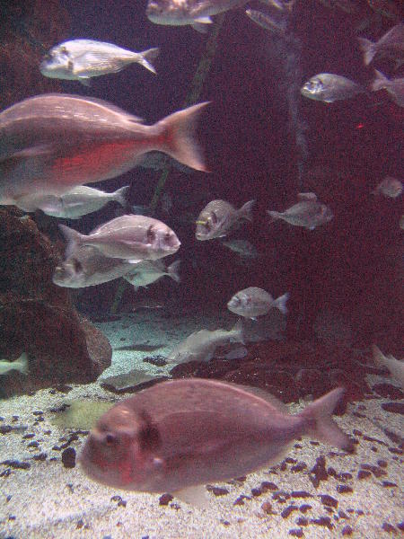 IMG_4261