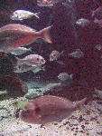 IMG_4261 IMG_4261