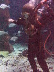 IMG_4262 IMG_4262