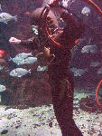 IMG_4263 IMG_4263