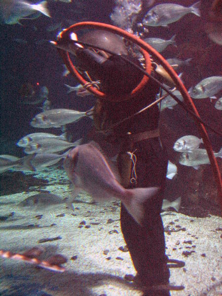 IMG_4264