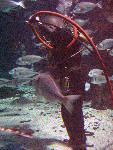 IMG_4264 IMG_4264