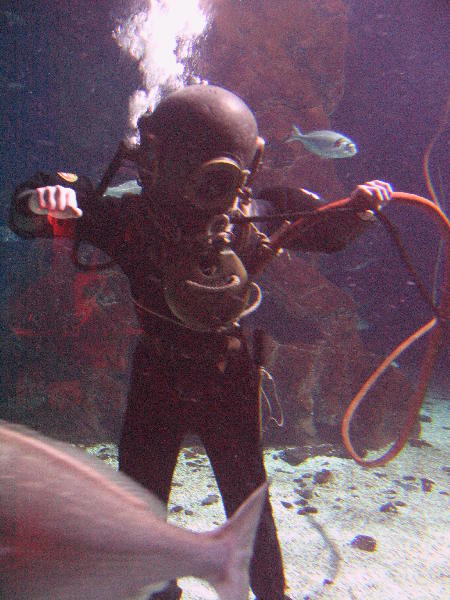 IMG_4265