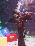 IMG_4266 IMG_4266