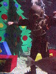 IMG_4267 IMG_4267