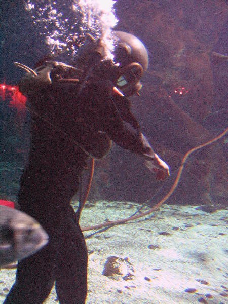 IMG_4270
