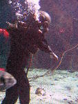 IMG_4270 IMG_4270