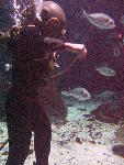 IMG_4271 IMG_4271
