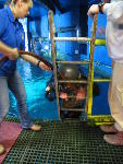 IMG_4273 IMG_4273