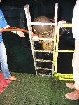 IMG_4274 IMG_4274