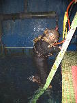 IMG_4310 IMG_4310