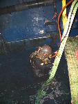 IMG_4311 IMG_4311