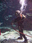 IMG_4312 IMG_4312
