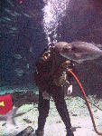 IMG_4313 IMG_4313