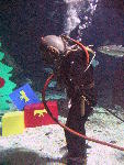 IMG_4315 IMG_4315
