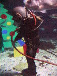 IMG_4316 IMG_4316