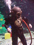 IMG_4317 IMG_4317