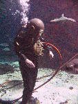 IMG_4319 IMG_4319