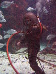IMG_4321 IMG_4321