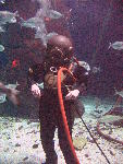 IMG_4322 IMG_4322