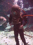IMG_4323 IMG_4323