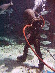 IMG_4324 IMG_4324