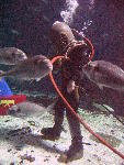 IMG_4325 IMG_4325