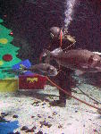 IMG_4327 IMG_4327