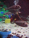 IMG_4328 IMG_4328
