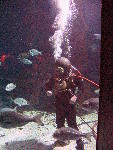 IMG_4329 IMG_4329