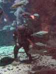 IMG_4330 IMG_4330