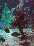 IMG_4331 IMG_4331