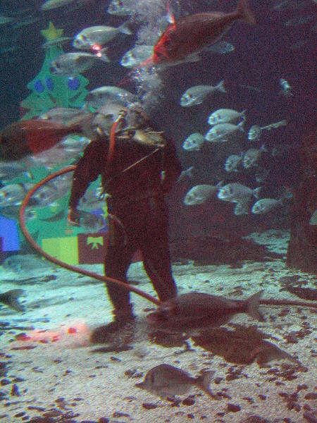 IMG_4332