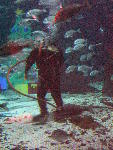 IMG_4332 IMG_4332